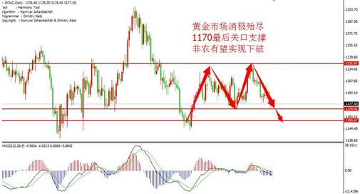 黄金亏损：黄金价格追赶式下跌 可能会出现新低点