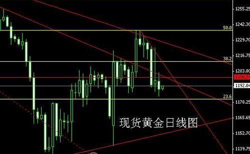 《纽约黄金》明年四月份黄金价格的另类疯狂指日可待